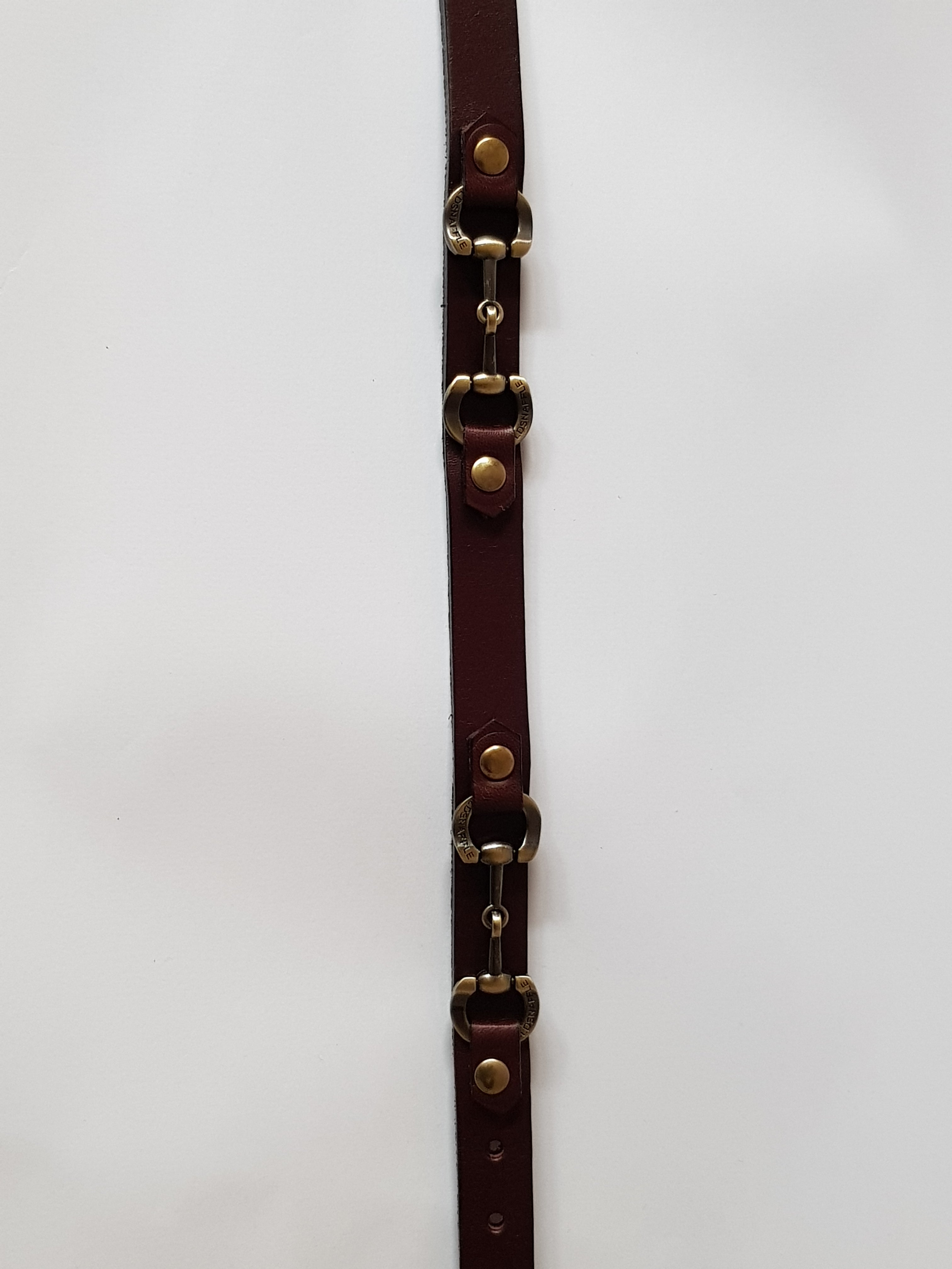 italian leather dog collar brushed gold snaffle bits - collar - GoldSnaffle