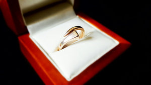 Rose gold Horse shoe nail ring - Ring - GoldSnaffle